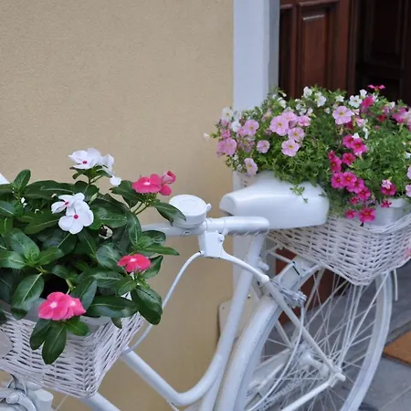 Couette-café Amarti 4*