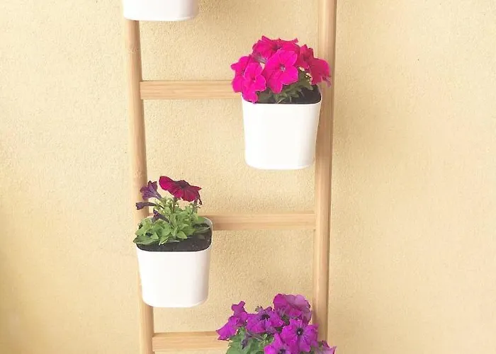 Amarti 4* Santo Stefano di Magra